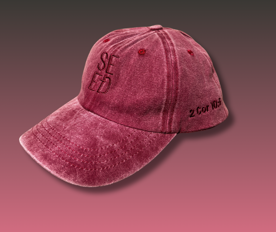 Unisex Washed Cap
