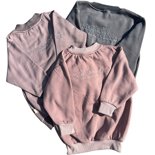 Three sweatshirts in pink, gray, and light pink with text on a white background